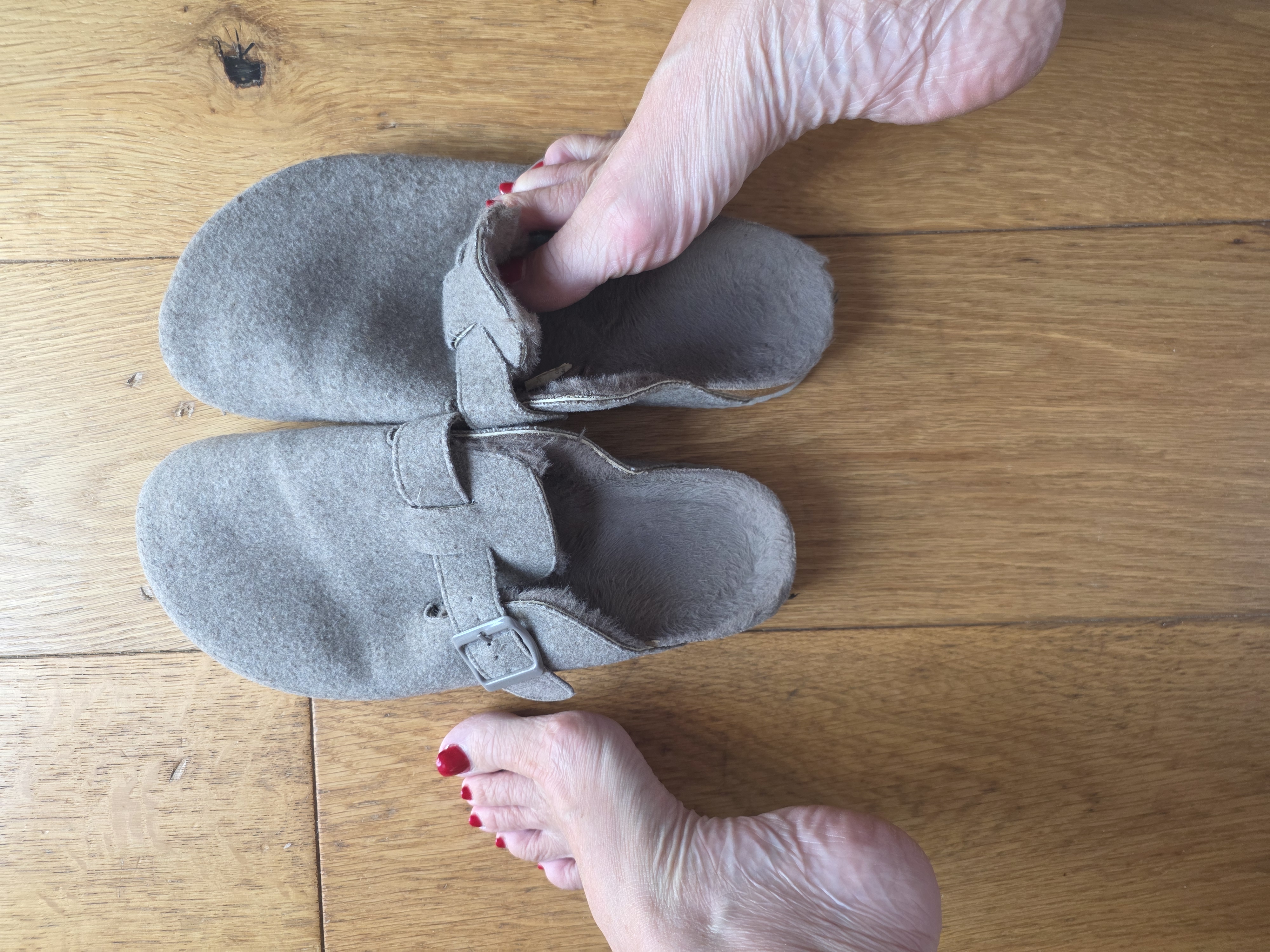 Well Worn Slippers by